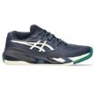 TENISICE ASICS Gel-Resolution X Clay - M/C